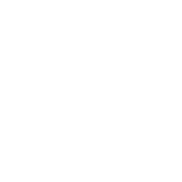 Renewable Energy Industry