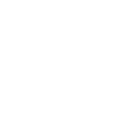 Electronics Industry